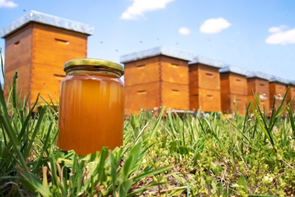 Santo Tomás presentará investigación sobre gel antiséptico creado a partir de la miel